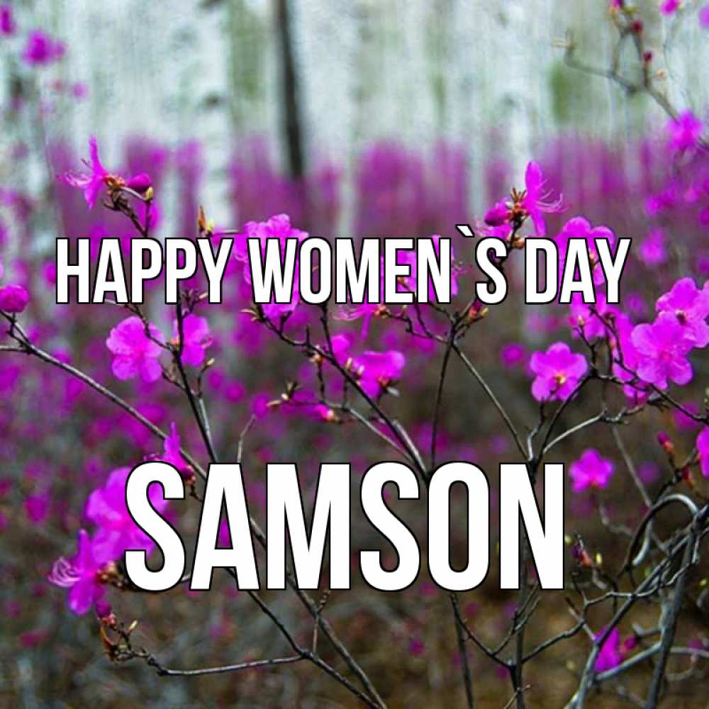 Greetings card с именем, Samson happy women`s day дикие цветы Greetings with text for free download 